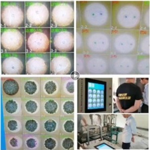 机器视觉自动JIUYOU.COM烟花质量   声光停机三重报警安全隐患