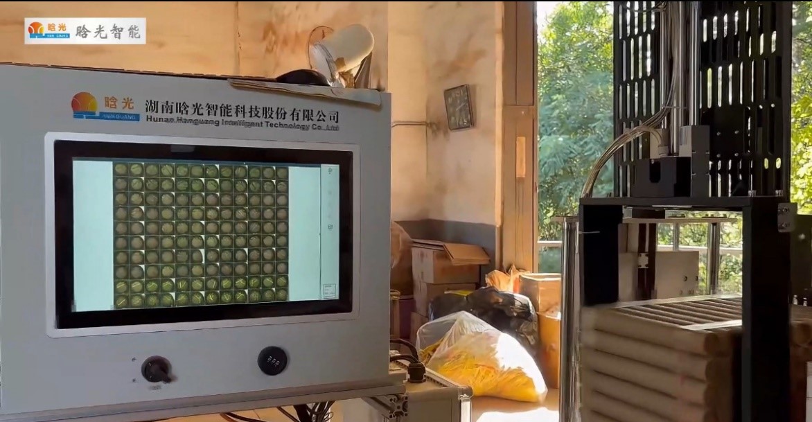 纸管烟花坨JIUYOU.COM